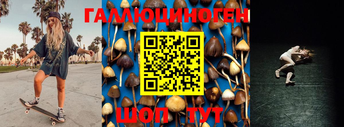 Трёхгорный  Псилоцибиновые грибы MAGIC MUSHROOMS  Вход с VPN 