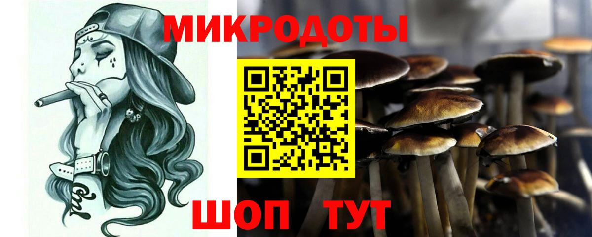 Псилоцибиновые грибы Psilocybine cubensis Трёхгорный